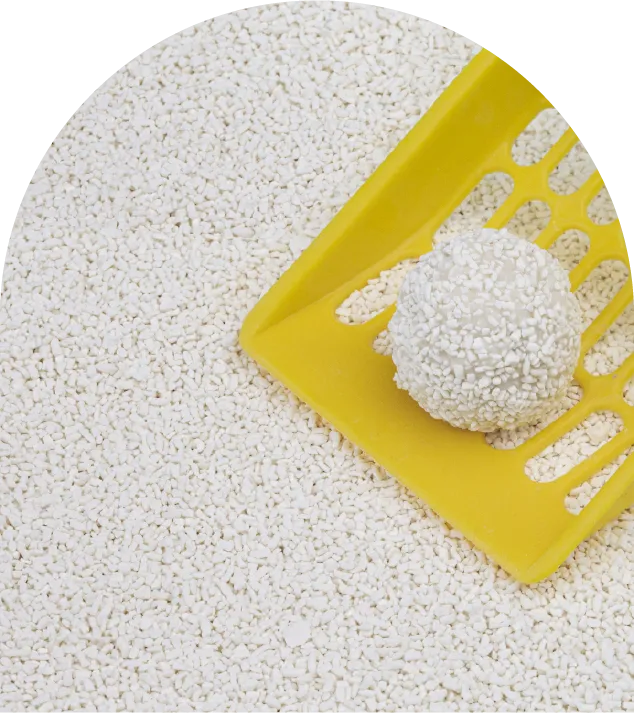 Cassava Cat Litter