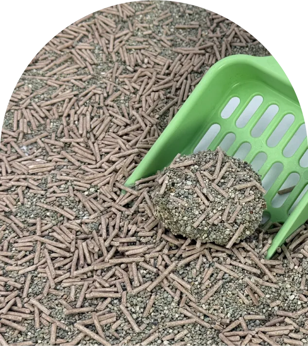 Mixed Cat Litter